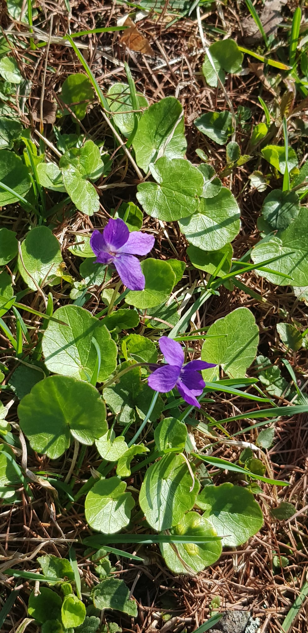 0c5857cc-4dcd-408b-ac79-4b130b41add8