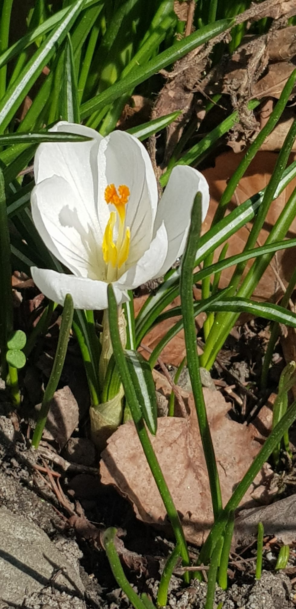 1aa6011d-3f73-4517-b400-479ff20db2e7