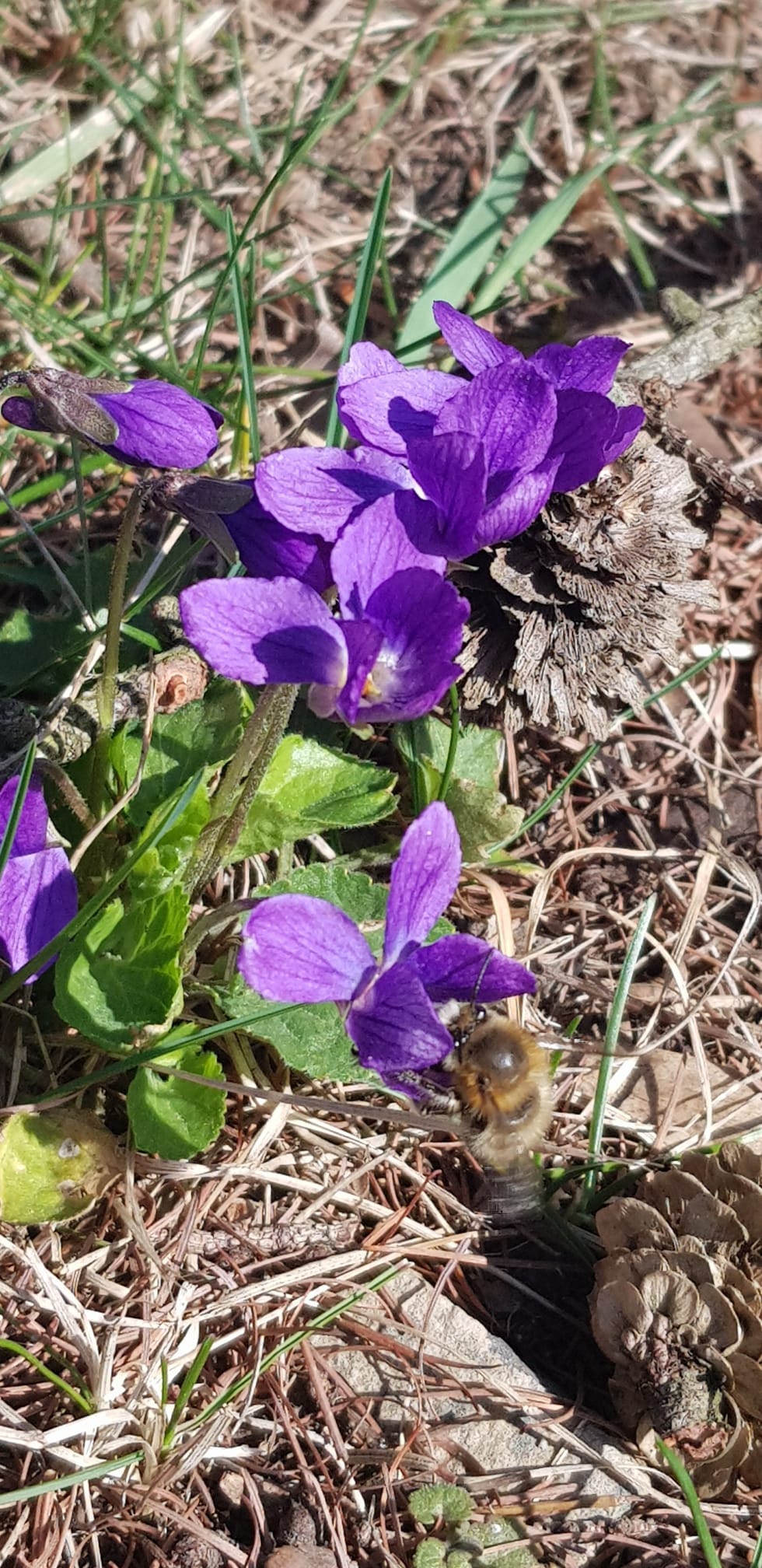 53c3ca97-a00e-4841-8238-6b661bbe7165